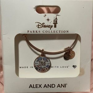 Disney collection Alex and ani